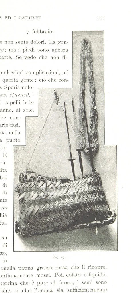 An illustration from Viaggi d'un artista nell'America Meridionale. I Caduvei, Mbayá o Guaycurú. Con prefazione ed uno studio storico ed etnografico del Dott. G. A. Colini. 112 figure, etc, 1895, leaf 141