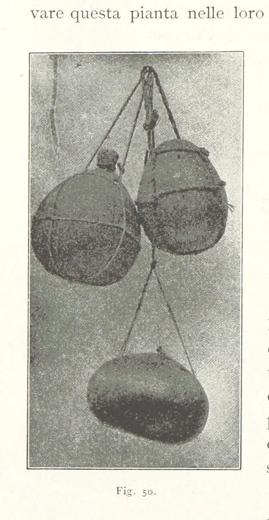 An illustration from Viaggi d'un artista nell'America Meridionale. I Caduvei, Mbayá o Guaycurú. Con prefazione ed uno studio storico ed etnografico del Dott. G. A. Colini. 112 figure, etc, 1895, leaf 142