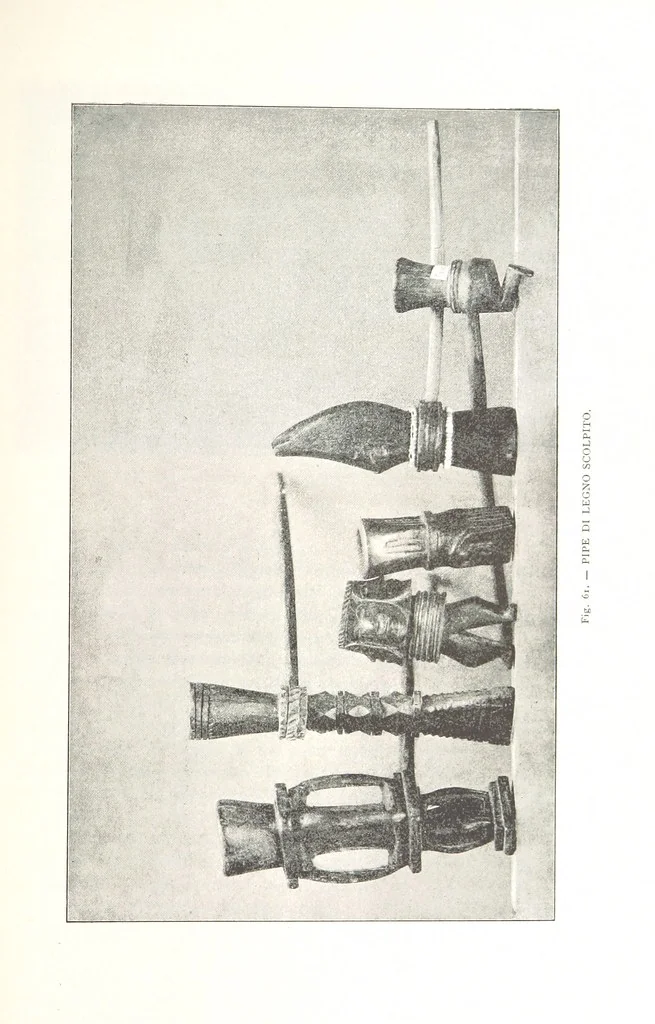An illustration from Viaggi d'un artista nell'America Meridionale. I Caduvei, Mbayá o Guaycurú. Con prefazione ed uno studio storico ed etnografico del Dott. G. A. Colini. 112 figure, etc, 1895, leaf 157