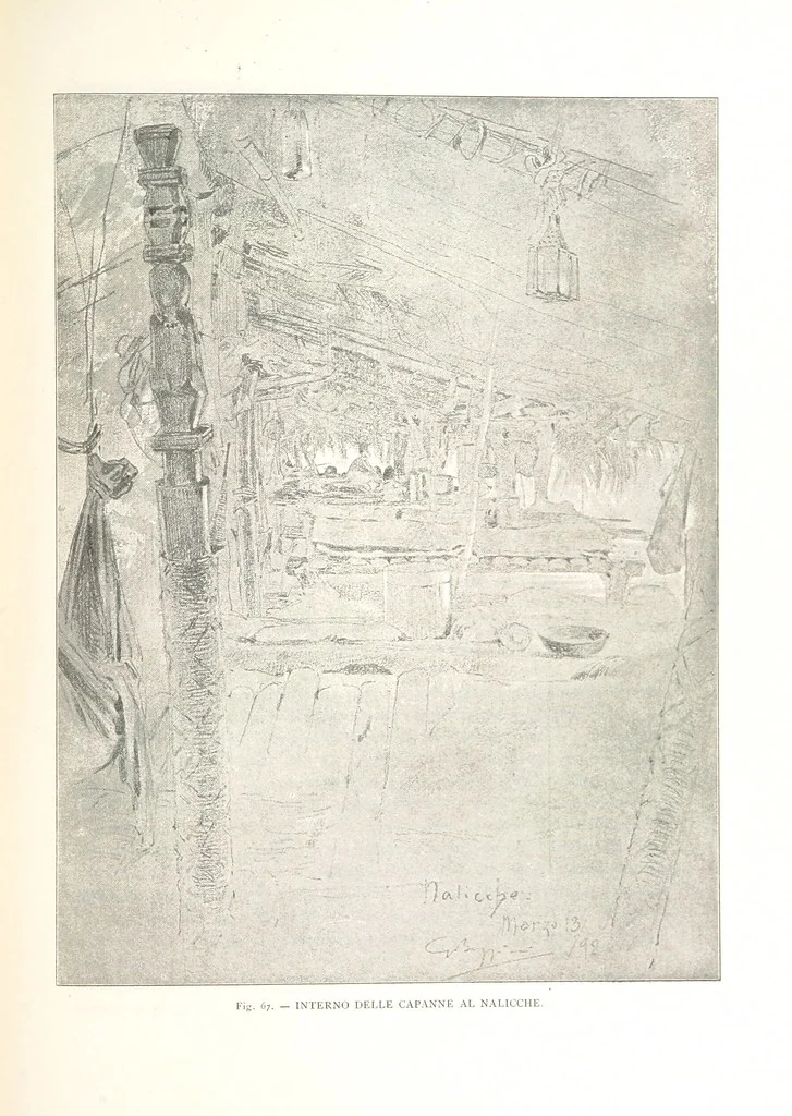 An illustration from Viaggi d'un artista nell'America Meridionale. I Caduvei, Mbayá o Guaycurú. Con prefazione ed uno studio storico ed etnografico del Dott. G. A. Colini. 112 figure, etc, 1895, leaf 169