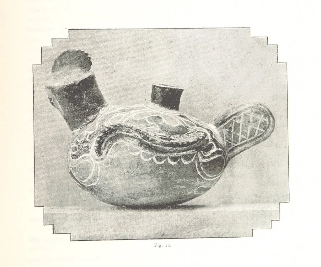 An illustration from Viaggi d'un artista nell'America Meridionale. I Caduvei, Mbayá o Guaycurú. Con prefazione ed uno studio storico ed etnografico del Dott. G. A. Colini. 112 figure, etc, 1895, leaf 181