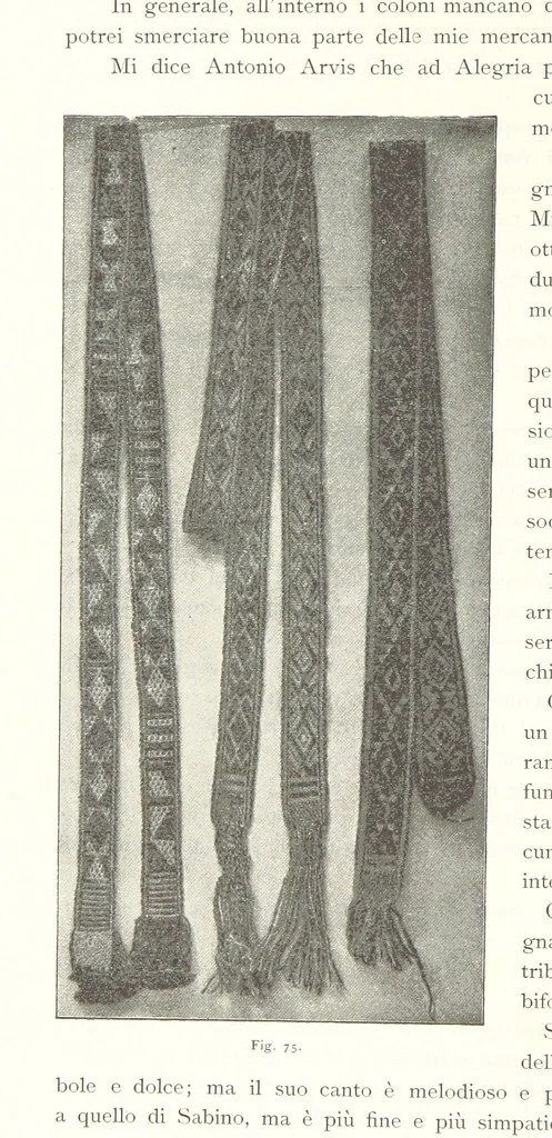 An illustration from Viaggi d'un artista nell'America Meridionale. I Caduvei, Mbayá o Guaycurú. Con prefazione ed uno studio storico ed etnografico del Dott. G. A. Colini. 112 figure, etc, 1895, leaf 188
