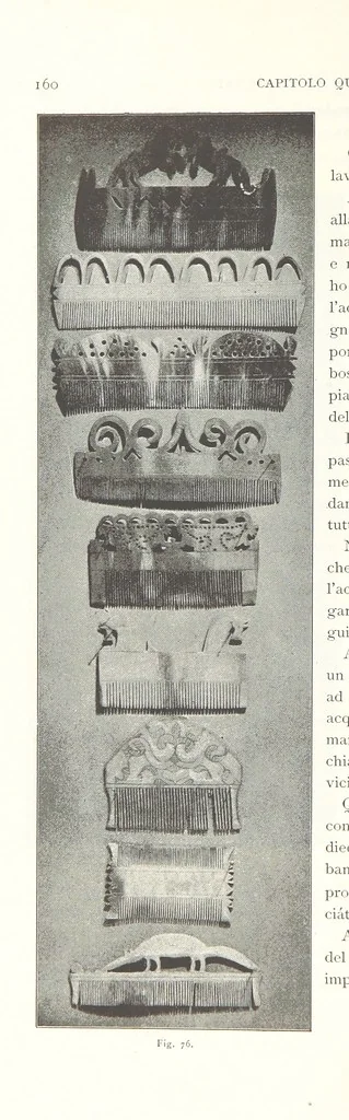 An illustration from Viaggi d'un artista nell'America Meridionale. I Caduvei, Mbayá o Guaycurú. Con prefazione ed uno studio storico ed etnografico del Dott. G. A. Colini. 112 figure, etc, 1895, leaf 190