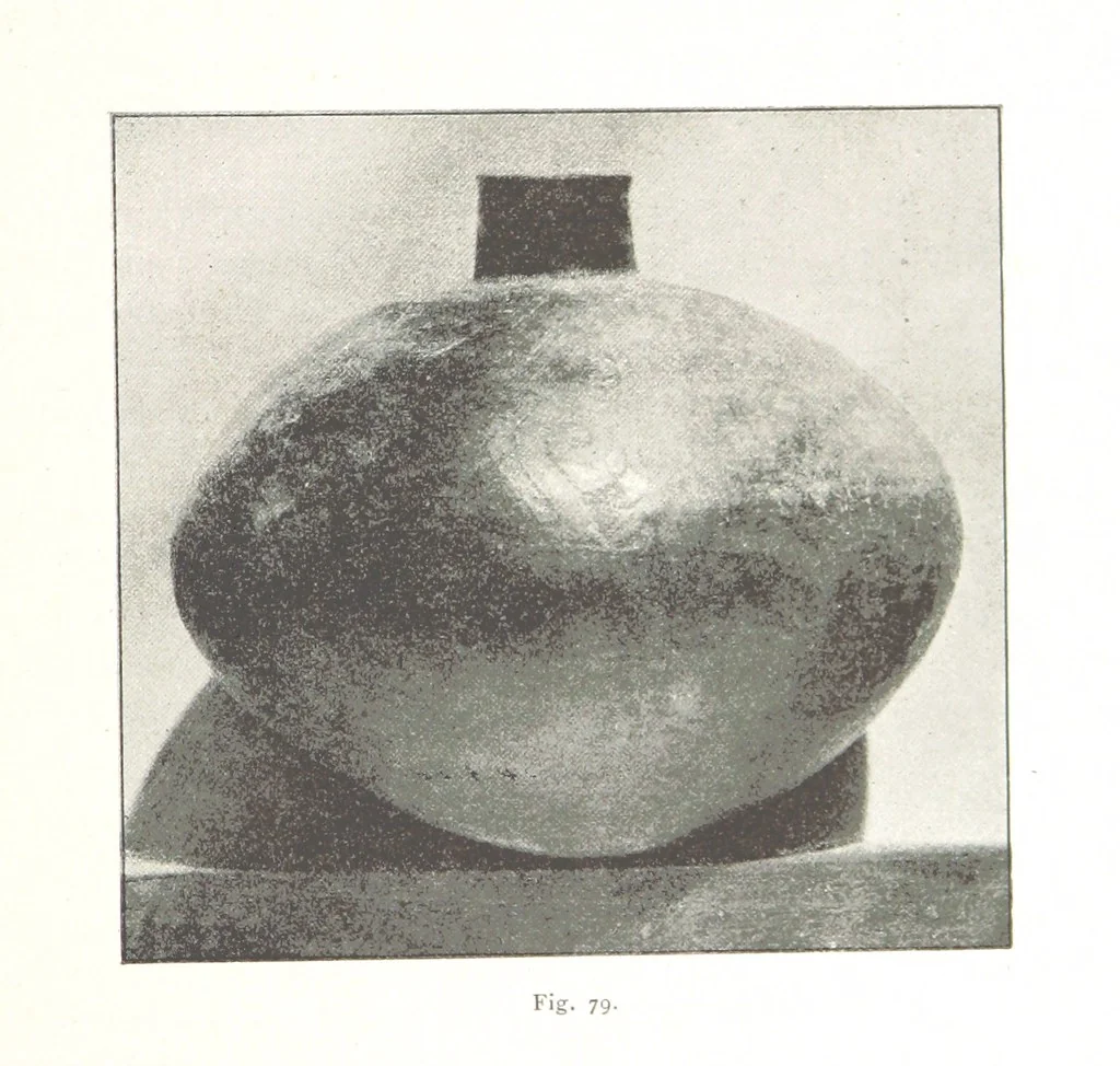 An illustration from Viaggi d'un artista nell'America Meridionale. I Caduvei, Mbayá o Guaycurú. Con prefazione ed uno studio storico ed etnografico del Dott. G. A. Colini. 112 figure, etc, 1895, leaf 197