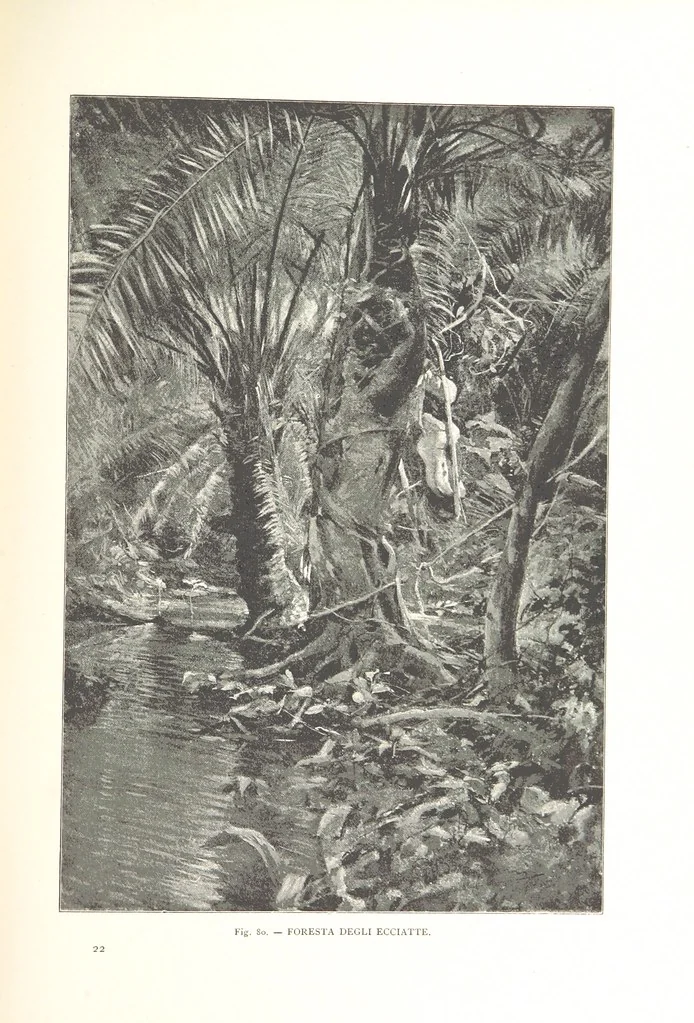 An illustration from Viaggi d'un artista nell'America Meridionale. I Caduvei, Mbayá o Guaycurú. Con prefazione ed uno studio storico ed etnografico del Dott. G. A. Colini. 112 figure, etc, 1895, leaf 199