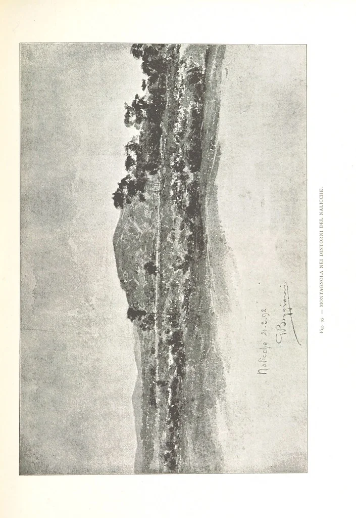 An illustration from Viaggi d'un artista nell'America Meridionale. I Caduvei, Mbayá o Guaycurú. Con prefazione ed uno studio storico ed etnografico del Dott. G. A. Colini. 112 figure, etc, 1895, leaf 233