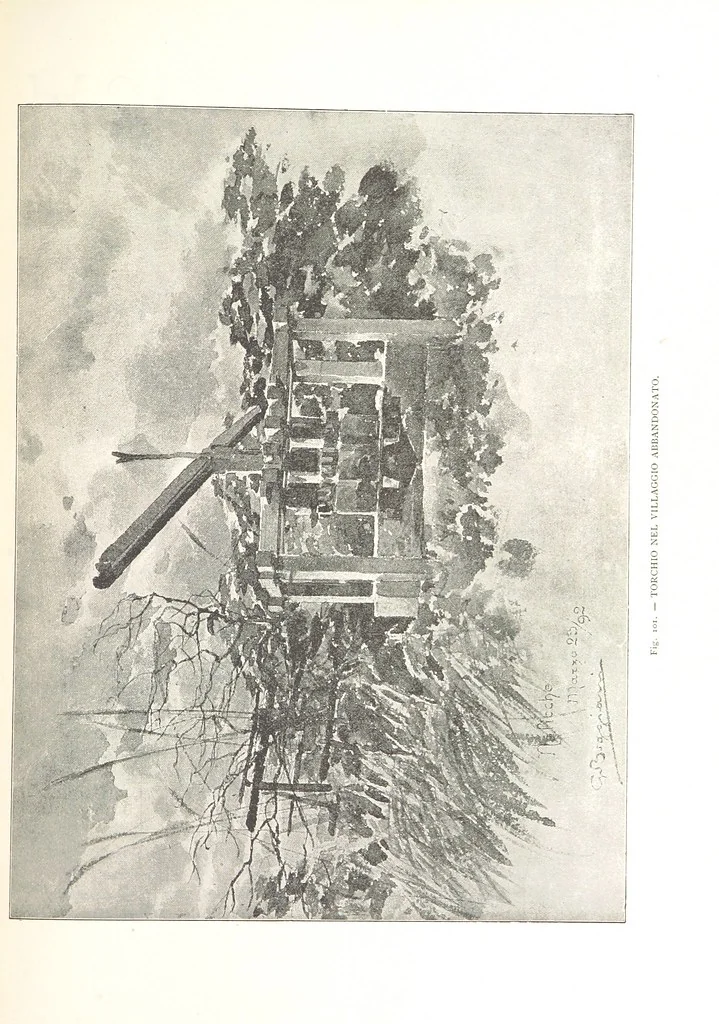 An illustration from Viaggi d'un artista nell'America Meridionale. I Caduvei, Mbayá o Guaycurú. Con prefazione ed uno studio storico ed etnografico del Dott. G. A. Colini. 112 figure, etc, 1895, leaf 251