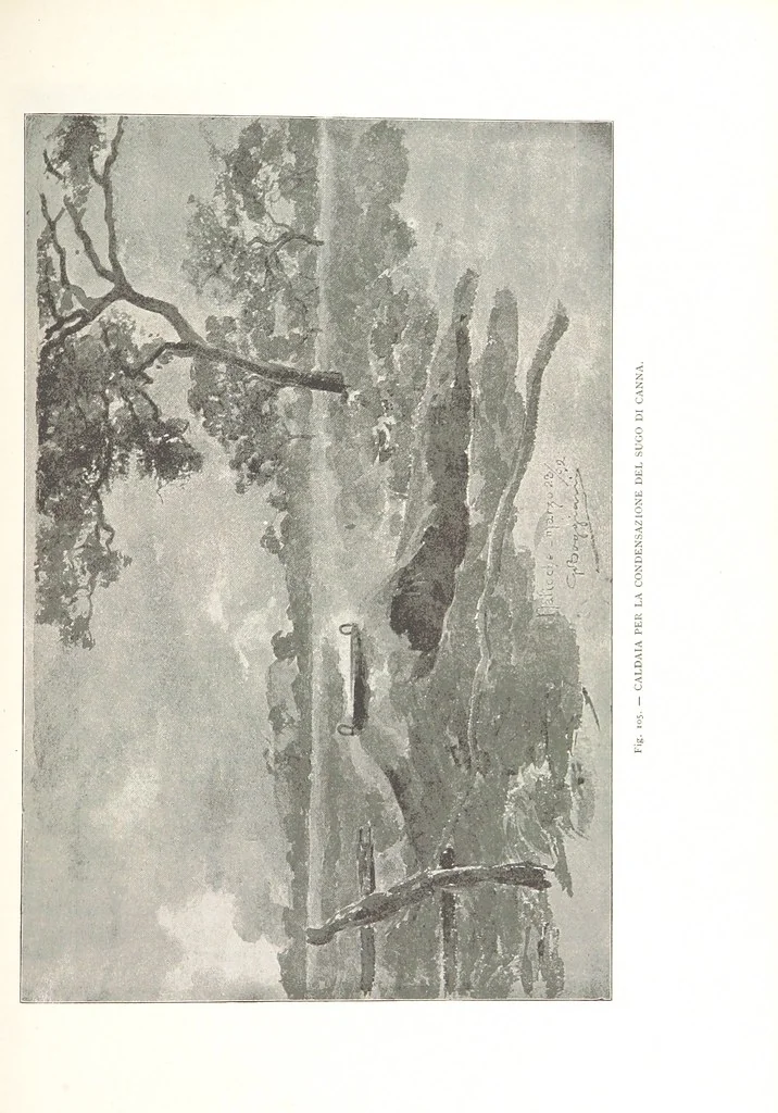 An illustration from Viaggi d'un artista nell'America Meridionale. I Caduvei, Mbayá o Guaycurú. Con prefazione ed uno studio storico ed etnografico del Dott. G. A. Colini. 112 figure, etc, 1895, leaf 259