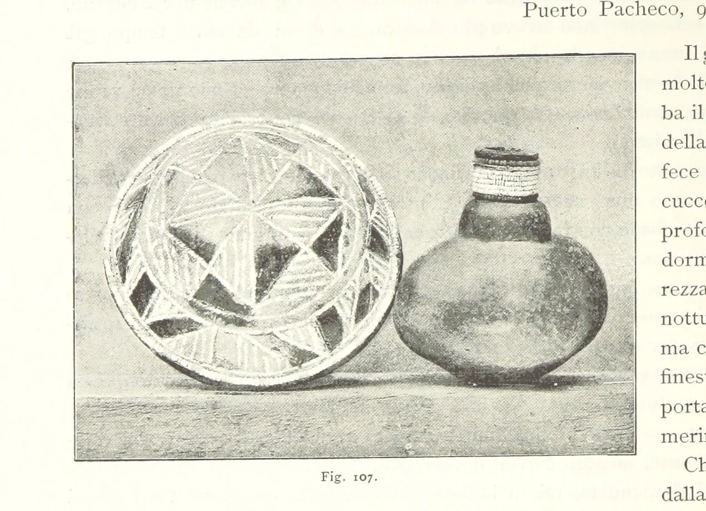 An illustration from Viaggi d'un artista nell'America Meridionale. I Caduvei, Mbayá o Guaycurú. Con prefazione ed uno studio storico ed etnografico del Dott. G. A. Colini. 112 figure, etc, 1895, leaf 268