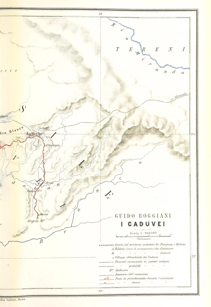 An illustration from Viaggi d'un artista nell'America Meridionale. I Caduvei, Mbayá o Guaycurú. Con prefazione ed uno studio storico ed etnografico del Dott. G. A. Colini. 112 figure, etc, 1895, leaf 273