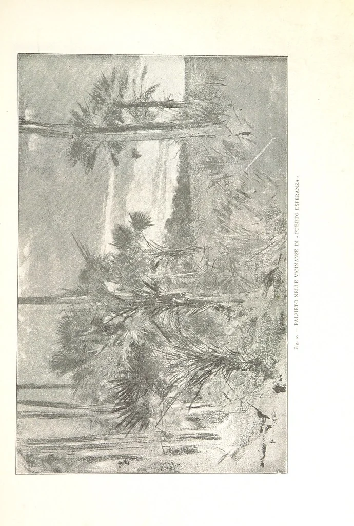 An illustration from Viaggi d'un artista nell'America Meridionale. I Caduvei, Mbayá o Guaycurú. Con prefazione ed uno studio storico ed etnografico del Dott. G. A. Colini. 112 figure, etc, 1895, leaf 37
