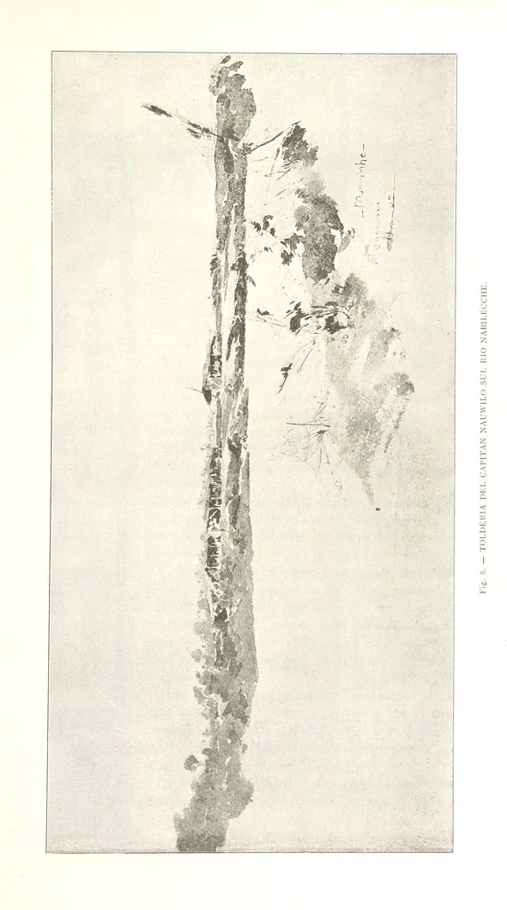 An illustration from Viaggi d'un artista nell'America Meridionale. I Caduvei, Mbayá o Guaycurú. Con prefazione ed uno studio storico ed etnografico del Dott. G. A. Colini. 112 figure, etc, 1895, leaf 61