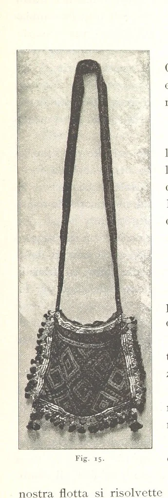 An illustration from Viaggi d'un artista nell'America Meridionale. I Caduvei, Mbayá o Guaycurú. Con prefazione ed uno studio storico ed etnografico del Dott. G. A. Colini. 112 figure, etc, 1895, leaf 73