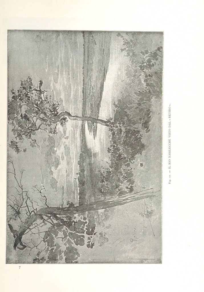 An illustration from Viaggi d'un artista nell'America Meridionale. I Caduvei, Mbayá o Guaycurú. Con prefazione ed uno studio storico ed etnografico del Dott. G. A. Colini. 112 figure, etc, 1895, leaf 79