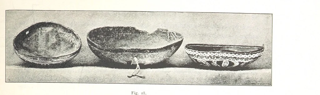 An illustration from Viaggi d'un artista nell'America Meridionale. I Caduvei, Mbayá o Guaycurú. Con prefazione ed uno studio storico ed etnografico del Dott. G. A. Colini. 112 figure, etc, 1895, leaf 81