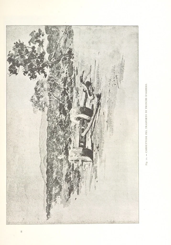 An illustration from Viaggi d'un artista nell'America Meridionale. I Caduvei, Mbayá o Guaycurú. Con prefazione ed uno studio storico ed etnografico del Dott. G. A. Colini. 112 figure, etc, 1895, leaf 87