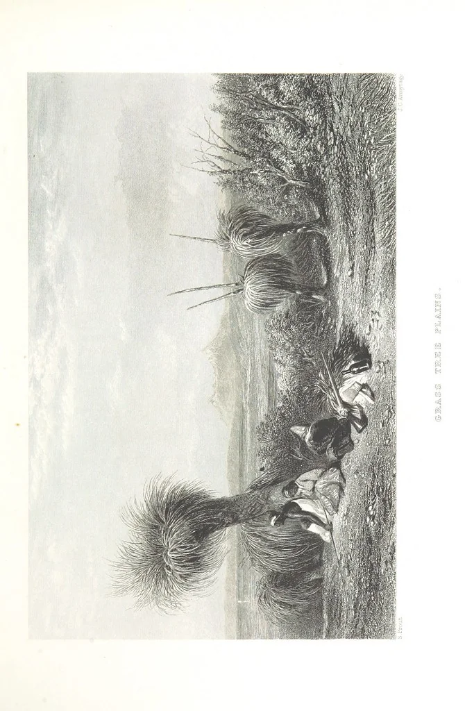 An illustration from Australia ... Illustrated with drawings by Skinner Prout, N. Chevalier, etc. [With maps, 1873, leaf 101