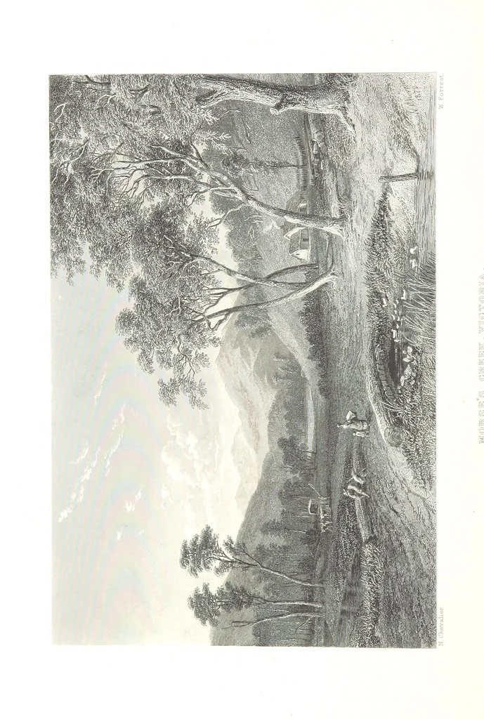 An illustration from Australia ... Illustrated with drawings by Skinner Prout, N. Chevalier, etc. [With maps, 1873, leaf 118