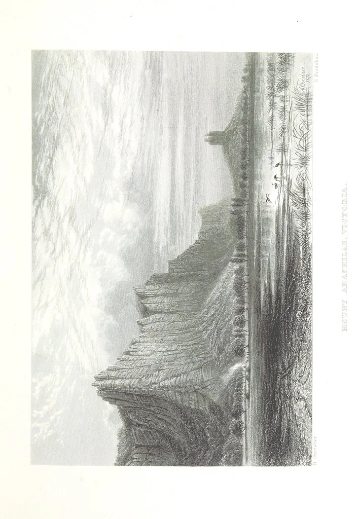 An illustration from Australia ... Illustrated with drawings by Skinner Prout, N. Chevalier, etc. [With maps, 1873, leaf 125