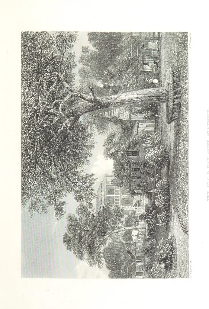 An illustration from Australia ... Illustrated with drawings by Skinner Prout, N. Chevalier, etc. [With maps, 1873, leaf 137
