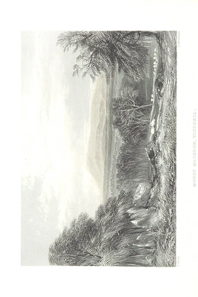 An illustration from Australia ... Illustrated with drawings by Skinner Prout, N. Chevalier, etc. [With maps, 1873, leaf 146