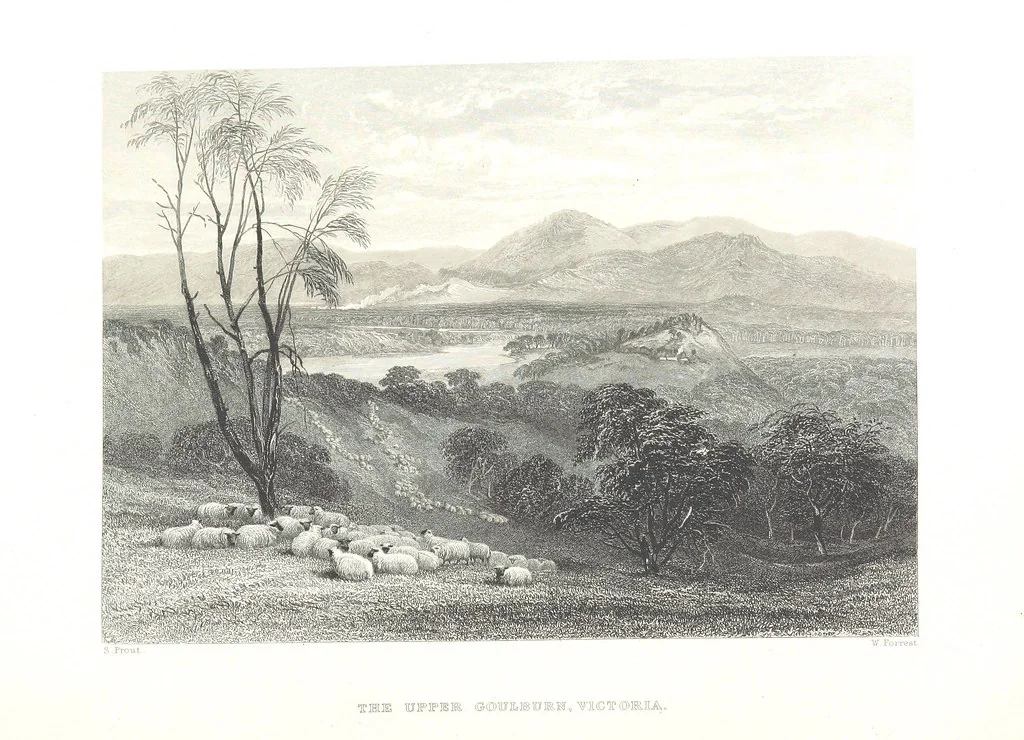 An illustration from Australia ... Illustrated with drawings by Skinner Prout, N. Chevalier, etc. [With maps, 1873, leaf 152