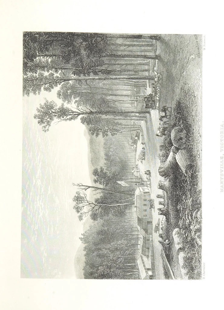 An illustration from Australia ... Illustrated with drawings by Skinner Prout, N. Chevalier, etc. [With maps, 1873, leaf 159