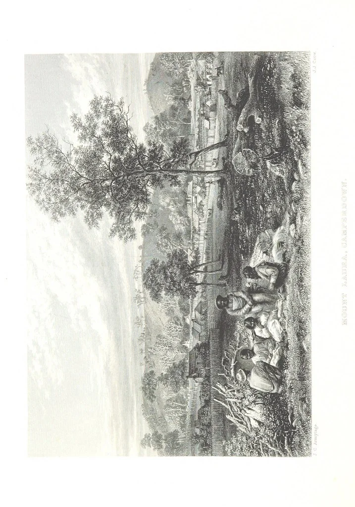 An illustration from Australia ... Illustrated with drawings by Skinner Prout, N. Chevalier, etc. [With maps, 1873, leaf 162