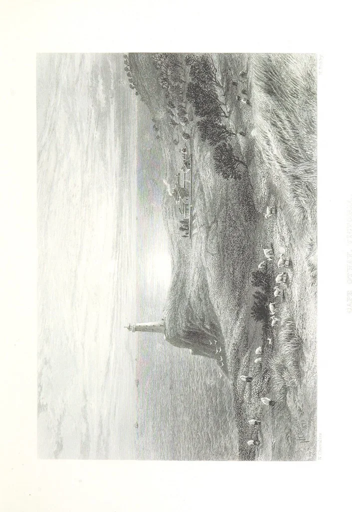 An illustration from Australia ... Illustrated with drawings by Skinner Prout, N. Chevalier, etc. [With maps, 1873, leaf 169
