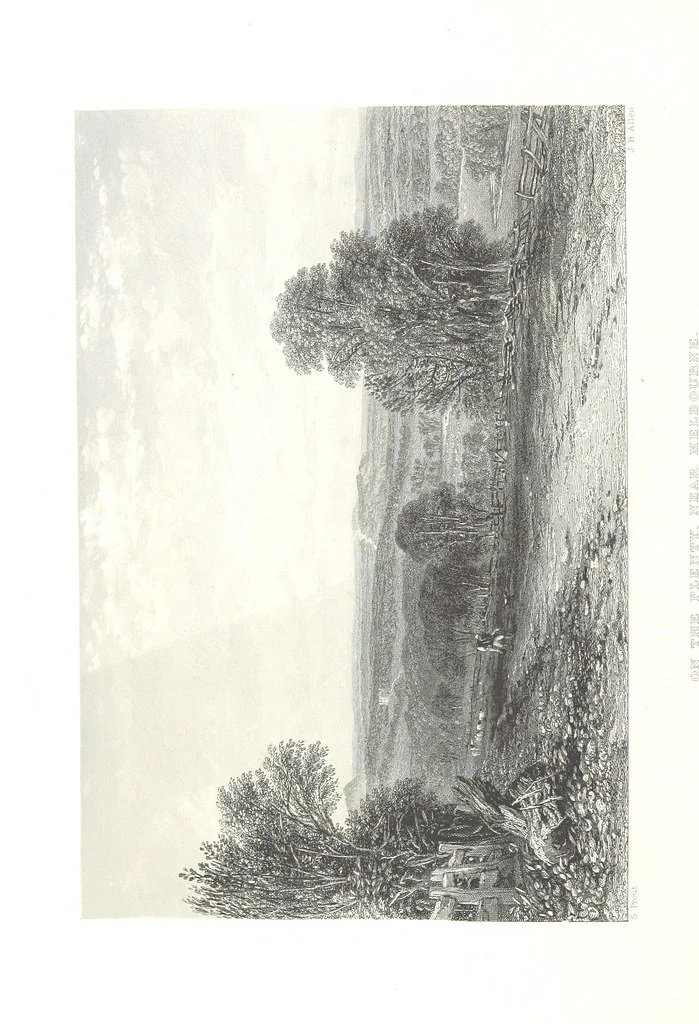 An illustration from Australia ... Illustrated with drawings by Skinner Prout, N. Chevalier, etc. [With maps, 1873, leaf 178