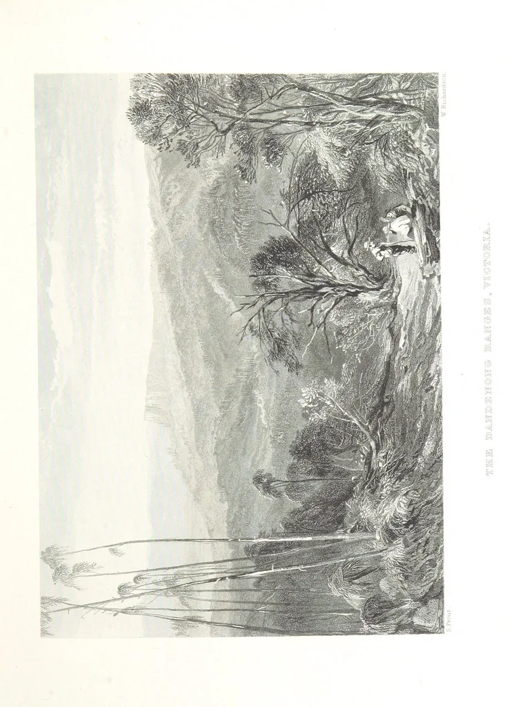 An illustration from Australia ... Illustrated with drawings by Skinner Prout, N. Chevalier, etc. [With maps, 1873, leaf 195
