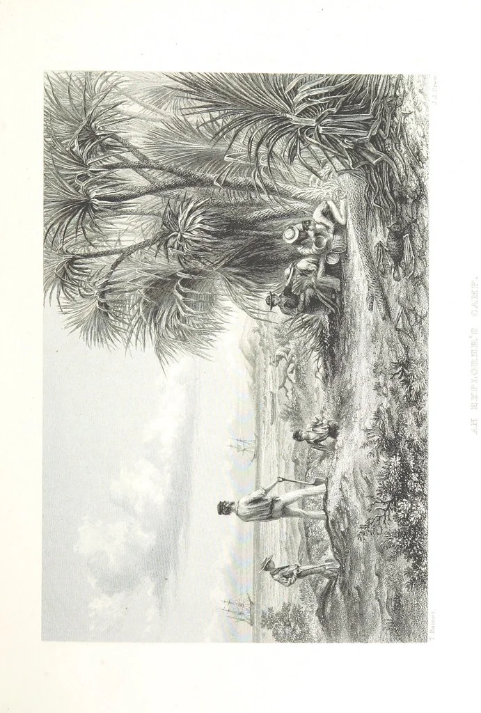 An illustration from Australia ... Illustrated with drawings by Skinner Prout, N. Chevalier, etc. [With maps, 1873, leaf 263