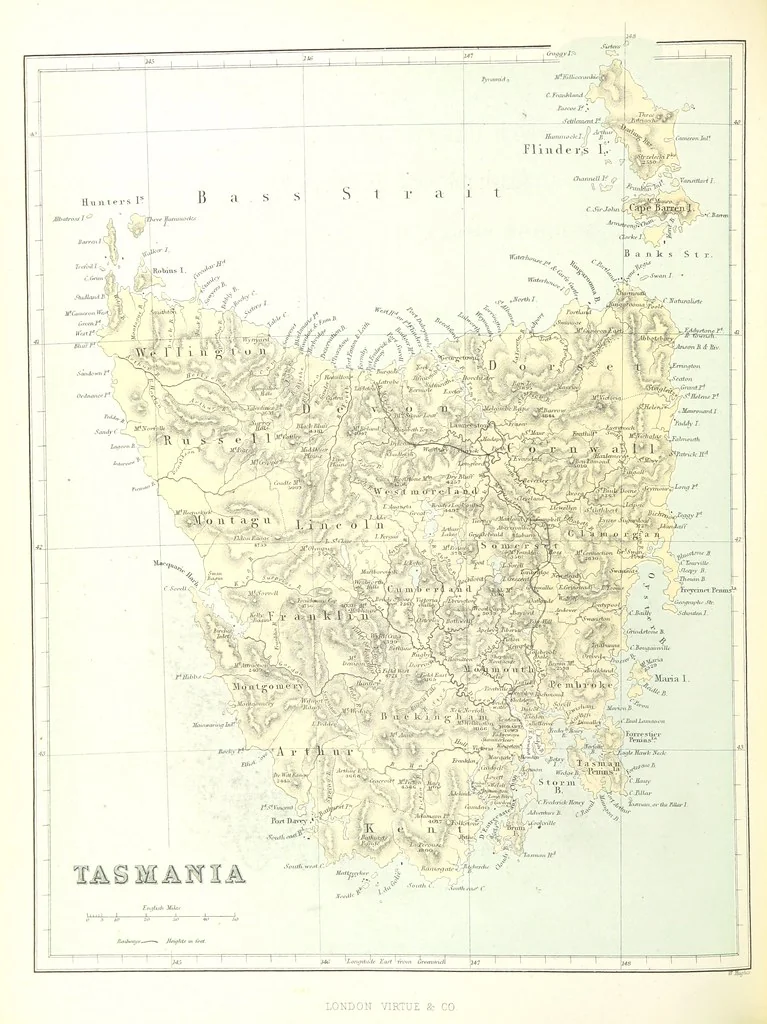 An illustration from Australia ... Illustrated with drawings by Skinner Prout, N. Chevalier, etc. [With maps, 1873, leaf 266
