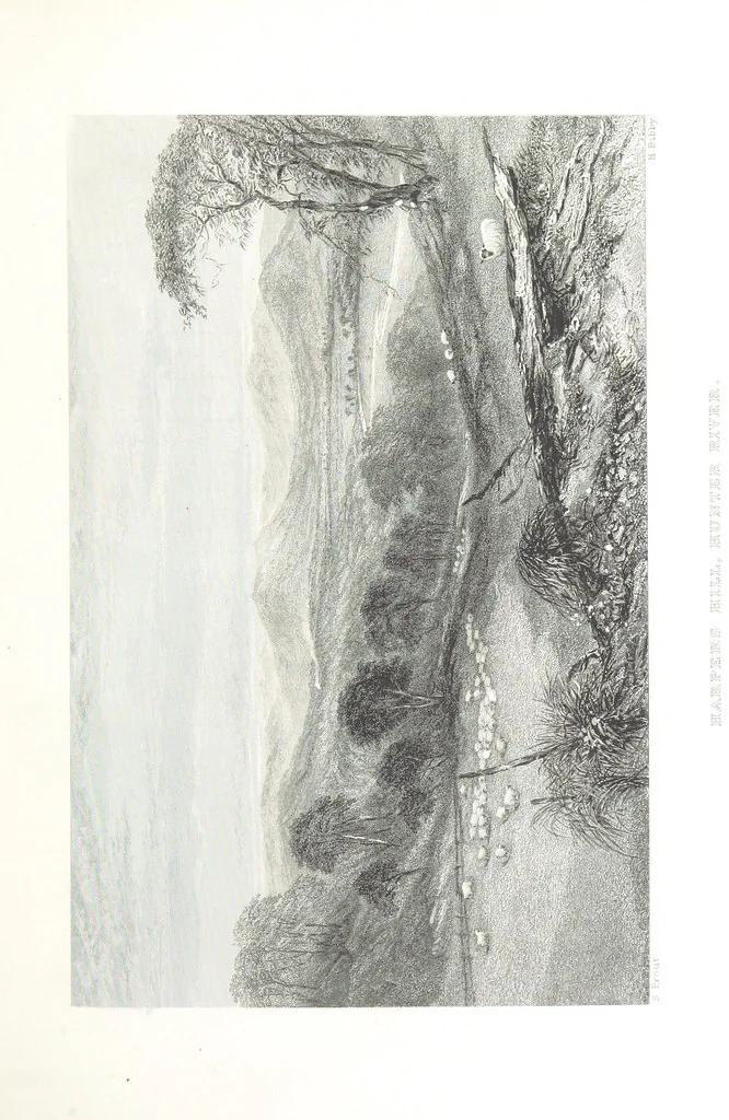 An illustration from Australia ... Illustrated with drawings by Skinner Prout, N. Chevalier, etc. [With maps, 1873, leaf 281