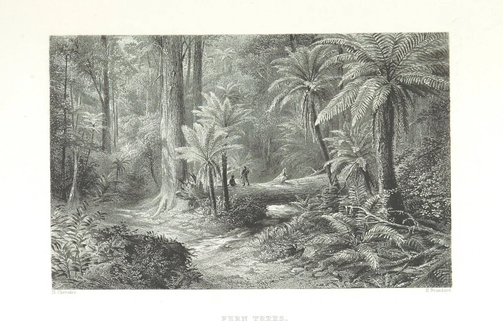 An illustration from Australia ... Illustrated with drawings by Skinner Prout, N. Chevalier, etc. [With maps, 1873, leaf 287