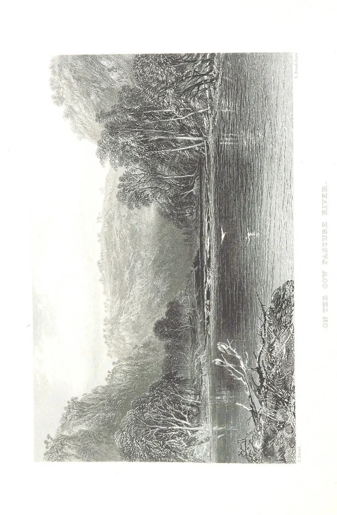 An illustration from Australia ... Illustrated with drawings by Skinner Prout, N. Chevalier, etc. [With maps, 1873, leaf 292