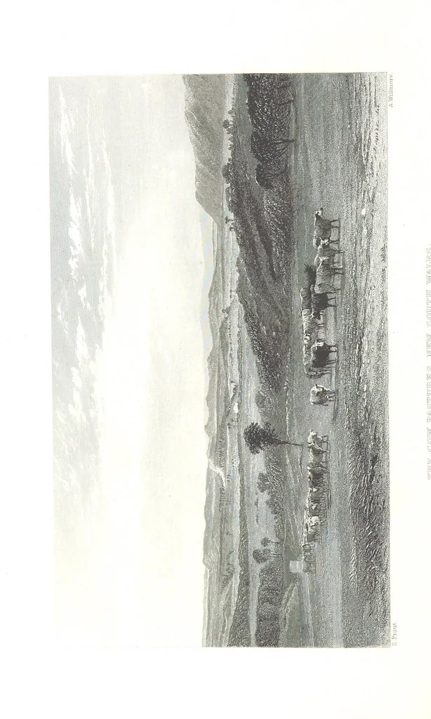 An illustration from Australia ... Illustrated with drawings by Skinner Prout, N. Chevalier, etc. [With maps, 1873, leaf 294