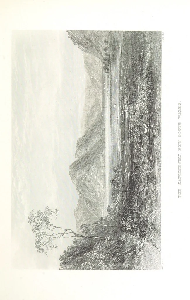 An illustration from Australia ... Illustrated with drawings by Skinner Prout, N. Chevalier, etc. [With maps, 1873, leaf 297