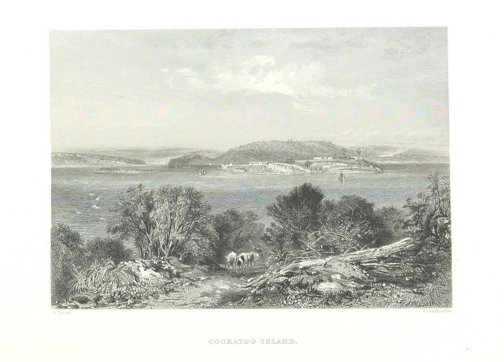 An illustration from Australia ... Illustrated with drawings by Skinner Prout, N. Chevalier, etc. [With maps, 1873, leaf 304