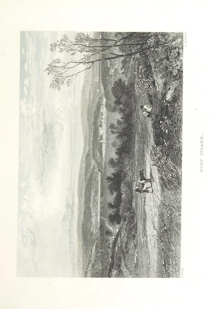 An illustration from Australia ... Illustrated with drawings by Skinner Prout, N. Chevalier, etc. [With maps, 1873, leaf 307