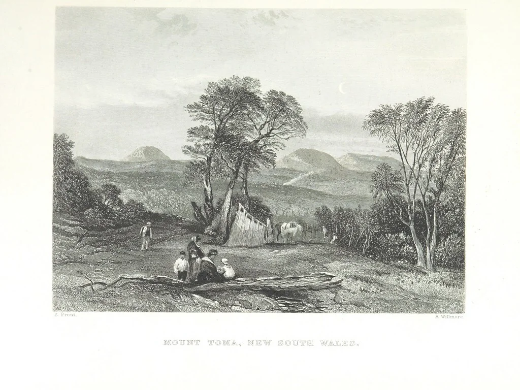 An illustration from Australia ... Illustrated with drawings by Skinner Prout, N. Chevalier, etc. [With maps, 1873, leaf 311