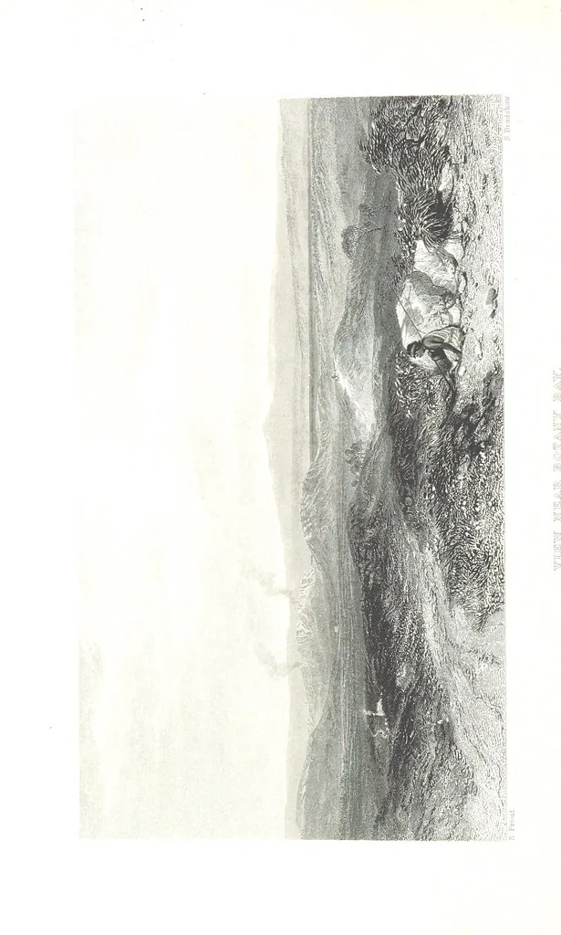 An illustration from Australia ... Illustrated with drawings by Skinner Prout, N. Chevalier, etc. [With maps, 1873, leaf 320