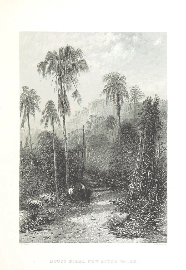An illustration from Australia ... Illustrated with drawings by Skinner Prout, N. Chevalier, etc. [With maps, 1873, leaf 325