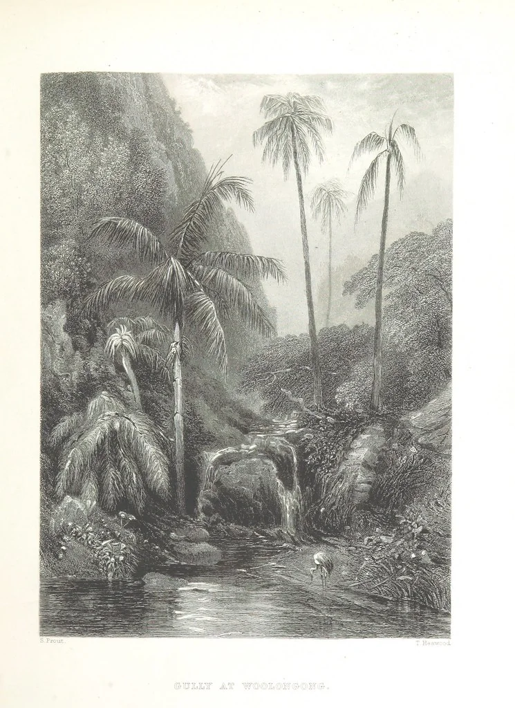 An illustration from Australia ... Illustrated with drawings by Skinner Prout, N. Chevalier, etc. [With maps, 1873, leaf 331