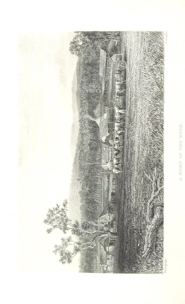 An illustration from Australia ... Illustrated with drawings by Skinner Prout, N. Chevalier, etc. [With maps, 1873, leaf 360