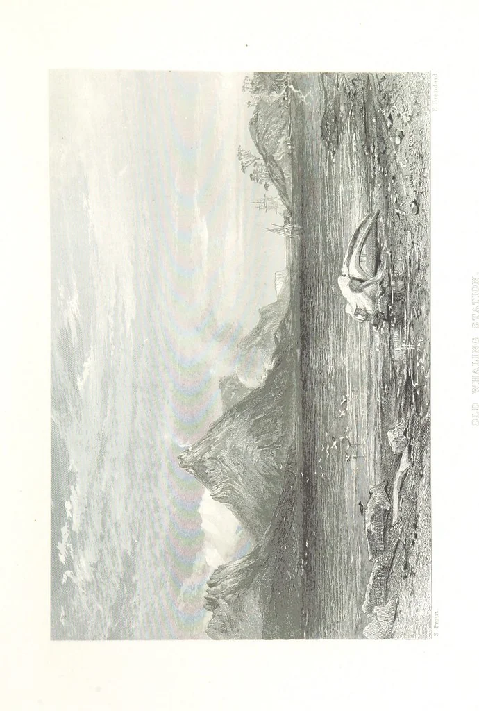 An illustration from Australia ... Illustrated with drawings by Skinner Prout, N. Chevalier, etc. [With maps, 1873, leaf 39