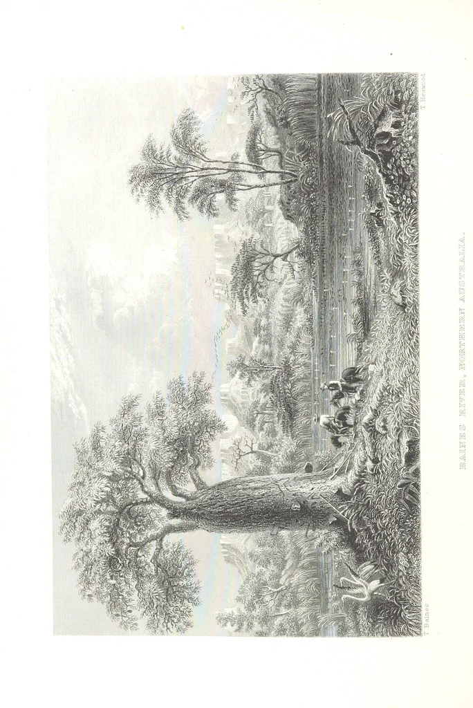 An illustration from Australia ... Illustrated with drawings by Skinner Prout, N. Chevalier, etc. [With maps, 1873, leaf 414