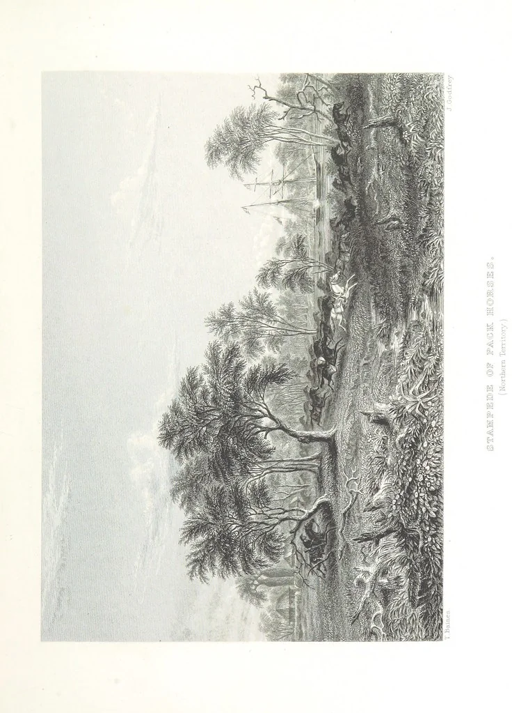 An illustration from Australia ... Illustrated with drawings by Skinner Prout, N. Chevalier, etc. [With maps, 1873, leaf 417
