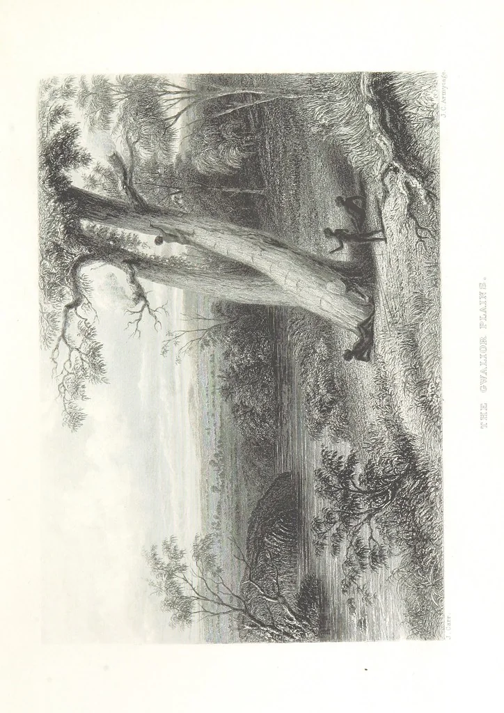 An illustration from Australia ... Illustrated with drawings by Skinner Prout, N. Chevalier, etc. [With maps, 1873, leaf 43