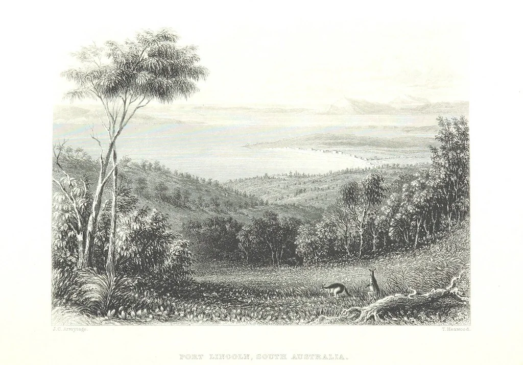 An illustration from Australia ... Illustrated with drawings by Skinner Prout, N. Chevalier, etc. [With maps, 1873, leaf 444